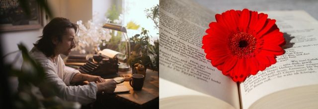 Runoilija mies tutkii runoaan sekä punainen kukka kirjan välissä