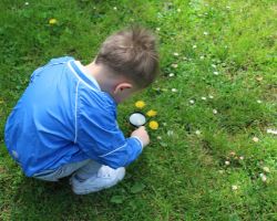 Poika tutkii kukkasia ruoholla suurennuslasin kanssa