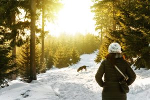 Nainen ja koira talvisessa metsässä